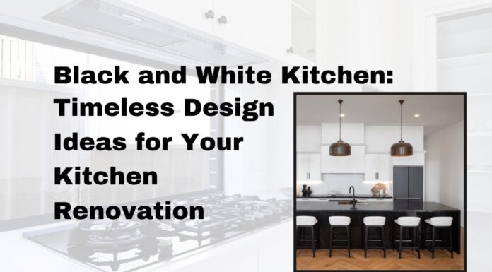 Black and White Kitchen: Timeless Design Ideas for Your Kitchen Renovation Black and White Kitchen
