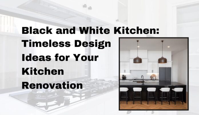 Black-and-White-Kitchen-kitchen Black and White Kitchen