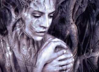 Capture Moments and Melodies: Exclusive Deals Await! Art Of The Days