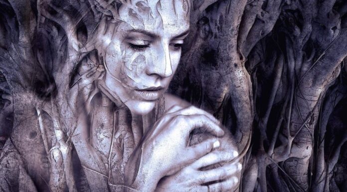 Capture Moments and Melodies: Exclusive Deals Await! Art Of The Days