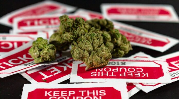 Printable Coupons for Extra Savings Coupon Deals Guide Find