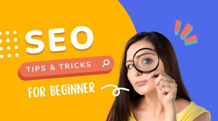 Top Digital Push: Strategic Link Building Services for UK Businesses seo services UK Link Building girl