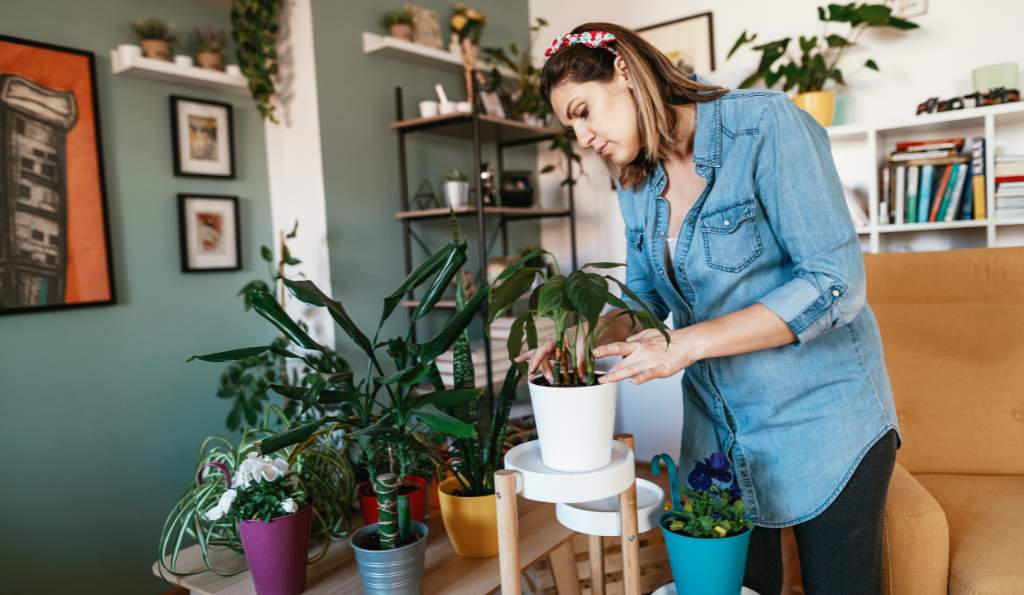 A woman wearing a denim shirt and a floral headband tending to potted plants in a cozy, well-decorated living room with green walls, bookshelves, and framed artwork